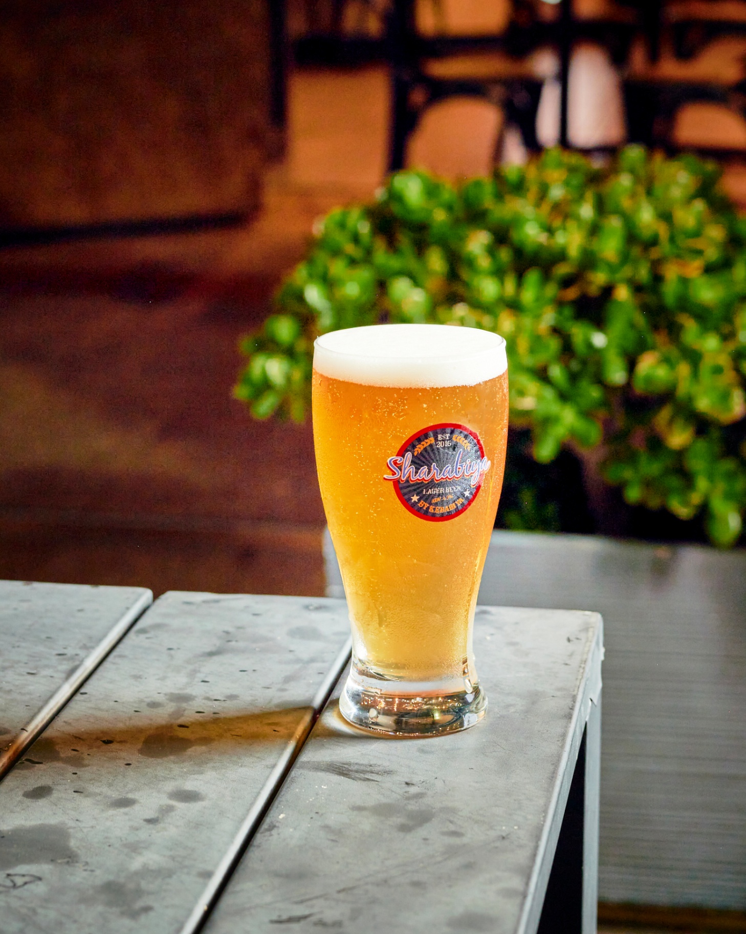 Tall glass of golden Sharabiya house lager on a dark wood bar